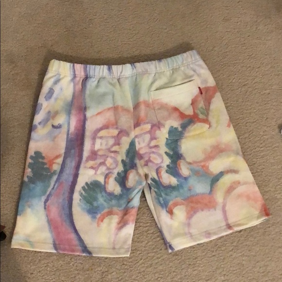 Supreme 18SS shorts landscape sweatshorts multi - Picture 4 of 8